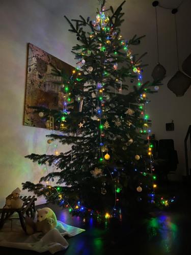 a christmas tree with christmas lights in a room at Chez Marie in Rosheim