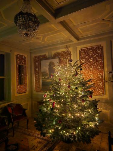 a christmas tree with lights in a room at Solvang in Assens