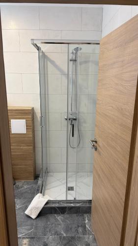 a shower with a glass door in a bathroom at Hotel Rosengarten in Frankfurt Oder