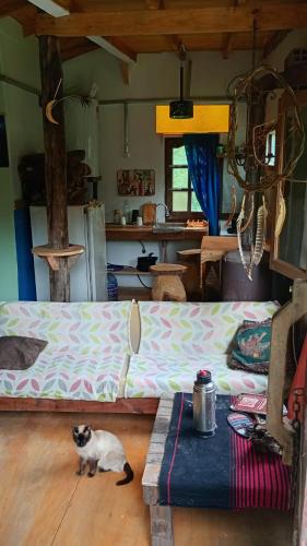 un chat assis à côté d'un grand lit dans une chambre dans l'établissement Kailash, à La Porteña