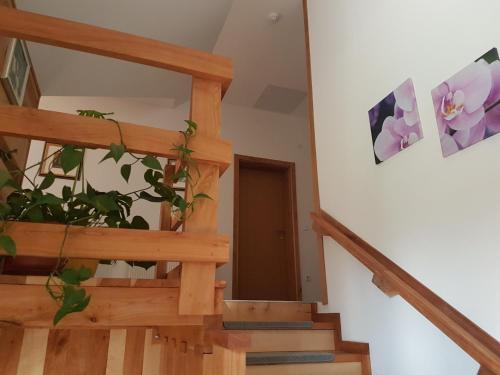 a stairwell with a wooden staircase with a plant at Villa Stone in Rakovica