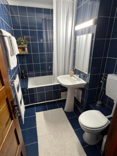 a blue tiled bathroom with a toilet and a sink at Apartament doua camere in Baia Mare