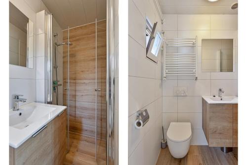a bathroom with a toilet sink and a shower at Geuldal Guest Apartments in Valkenburg