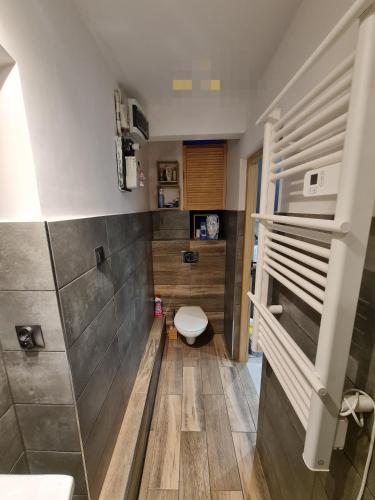 a bathroom with a toilet and a shower at Studio pod Śnieżnymi Kotłami in Piechowice