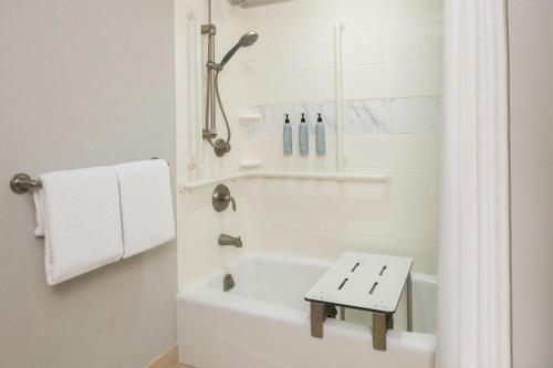 Koupelna v ubytování Courtyard Carson City