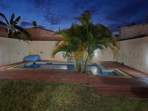 una piscina con una palmera en una terraza en Descanso Guazú, en Posadas
