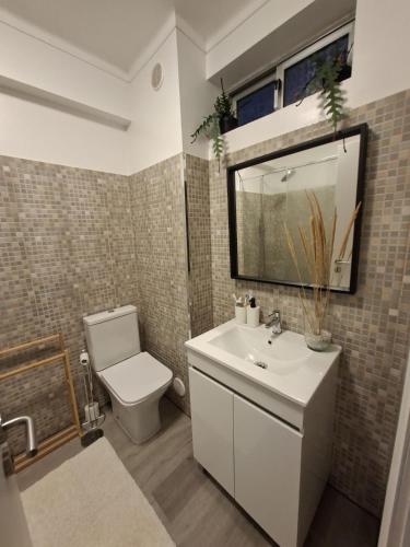 a bathroom with a sink and a toilet and a mirror at Afife Beach Apartment in Afife