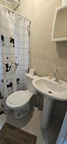 コチアにあるKitnet em Cotia perto Animalia Park CT do Sao Pauloのトイレと洗面台のあるバスルーム