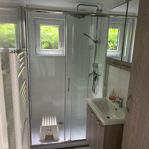 a bathroom with a shower and a sink at Luxus Chalet Time Out De Veerstal in Lathum