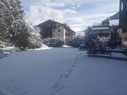 a courtyard covered in snow with trees and benches at Casa da Mimi in Isolaccia