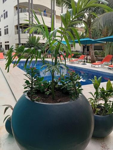 Hồ bơi trong/gần LA Maison Sur Le Fleuve