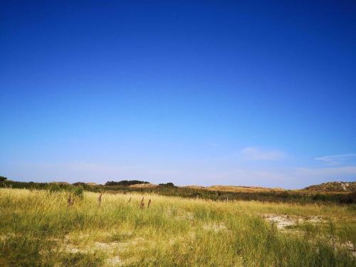a field of grass with a blue sky in the background at 4 star holiday home in Fanø in Fanø