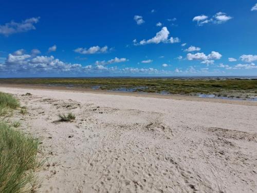 a sandy beach with the ocean in the background at 4 star holiday home in Fanø in Fanø