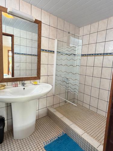 a bathroom with a sink and a shower at Te Manu Lodge Tikehau in Tikehau