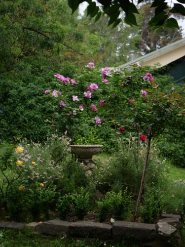 Κήπος έξω από το Birdsland Suite