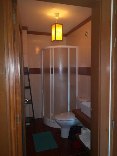 a bathroom with a shower and a toilet at Casa do Mercador in Real
