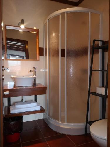 a bathroom with a shower and a sink at T0 Eira Frente in Vieira do Minho