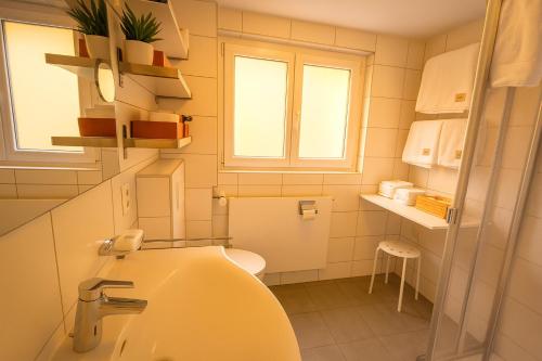 a small bathroom with a sink and a toilet at Chalet Alpenheim 2 OG in Bettmeralp