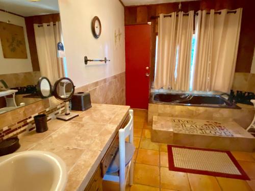 a bathroom with a sink and a counter with a mirror at Casa Floerke in Concan
