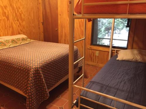a bedroom with two bunk beds and a window at Kickin Back in Concan