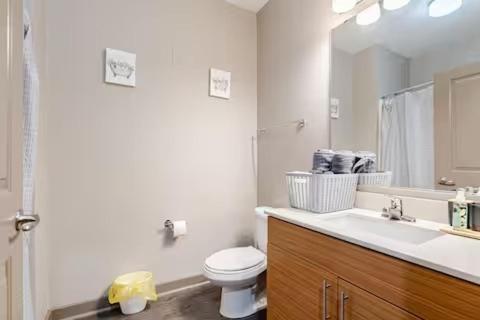 a bathroom with a toilet and a sink and a mirror at Queen City Getaway with Pool in Charlotte