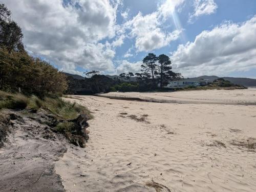 Sisters Beach Hideaway - A Coastal Escape في Sisters Beach: شاطئ رملي اشجار جنبه