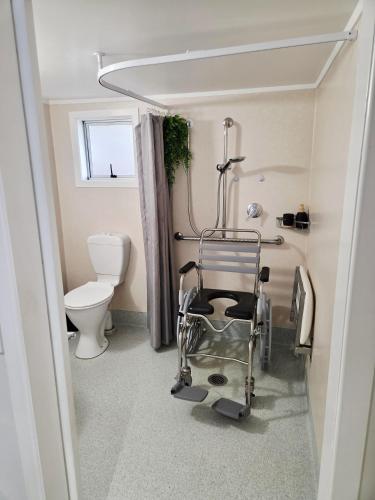 a wheelchair in a bathroom with a toilet at Accessible Respite House in Whangarei