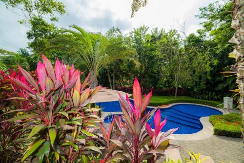 um jardim com piscina e algumas plantas em Veranda 1E 3bdr 3 bath em Isla Herradura