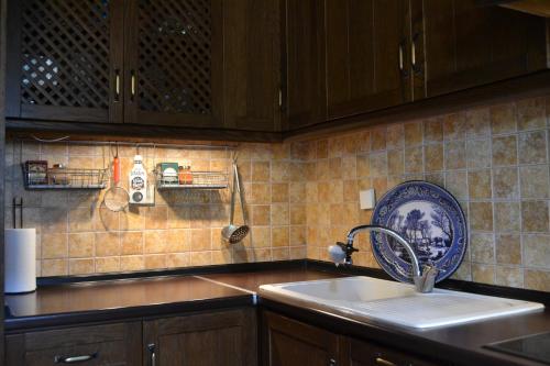 Kuchyň nebo kuchyňský kout v ubytování Artemis Stone House