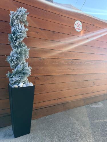 Φωτογραφία από το άλμπουμ του Moonlit Serenity στο Ώκλαντ