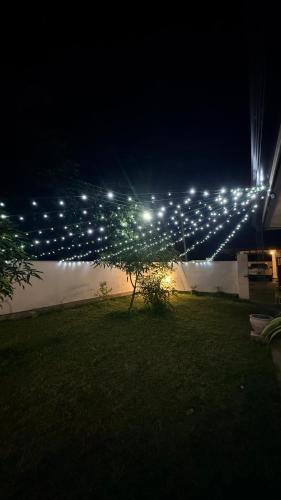 a tree with lights on it in a yard at night at The Grace Cottage - Negombo in Dagonna