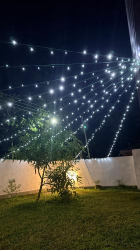 a tree under a string of lights at night at The Grace Cottage - Negombo in Dagonna