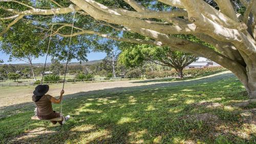 Khách lưu trú tại Warrambool Lodge