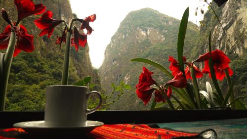 Vista general de una montaña o vista desde el hostal