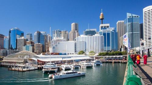 a group of boats docked at a marina in a city at Sydney CBD 3BR Apt - 150m to Darling Harbour & ICC in Sydney