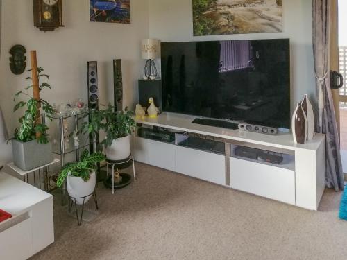 a living room with a large television and plants at Relaxing home from home in Invercargill