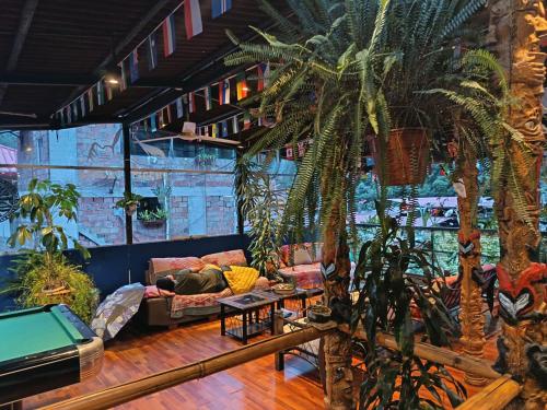a living room with a couch and a palm tree at Nativus Hostel Machu Picchu in Machu Picchu