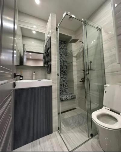 a bathroom with a shower and a toilet and a sink at Nice Stay Near Center in Yerevan
