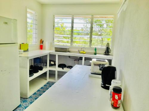Η κουζίνα ή μικρή κουζίνα στο Private Double Room - Horizon Tonga Cottage