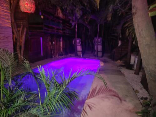 Fotografie z fotogalerie ubytování Las cabañas vip v destinaci Tulum