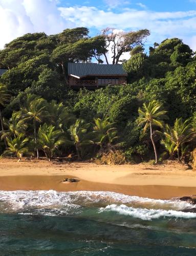 a house on top of a hill next to a beach at Turtle Beach Hotel Calibishie in Woodford Hill