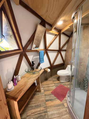 a bathroom with a glass sink and a toilet at Hostal y Domos Bello Horizonte in Villarrica