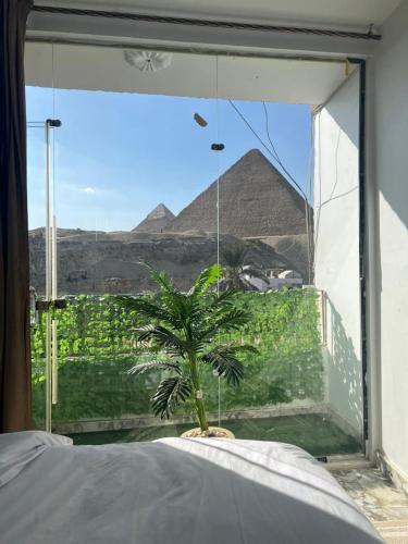 Sola Pyramids View
