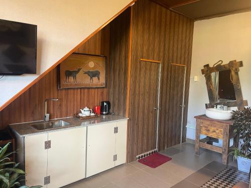 大叻Redhouse Dalat Hotel的厨房里有水槽和镜子