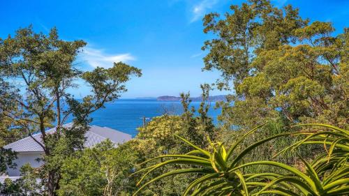 a view of the ocean through the trees at 'Spacious Family Retreat' by HolidayCo in Killcare