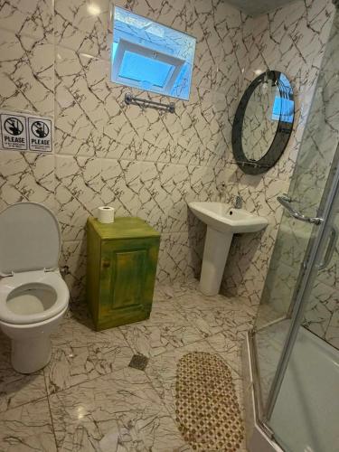 a bathroom with a toilet and a sink and a mirror at Baias Wine in Bagdatʼi
