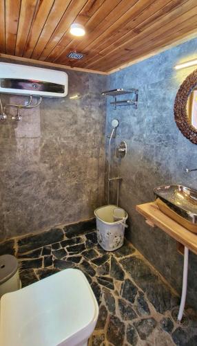a bathroom with a shower and a toilet and a sink at Astro Orchard Glamps and Hostels in Theog