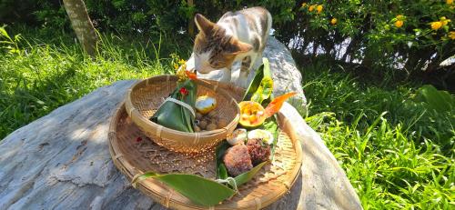 Un gato sentado en una mesa con una canasta de comida. en Snail B&B, en Pinghe