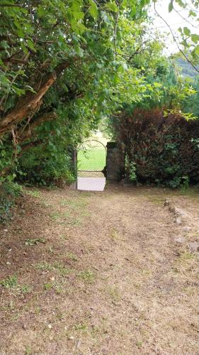 Κήπος έξω από το Le coq en pâte