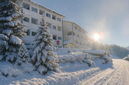 a building with snow covered trees in front of it at Grifone Dolomiti Resort in Arabba